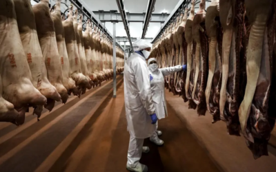 Sigma Kreas avanza en innovación con su participación en DIGIT4PORK
