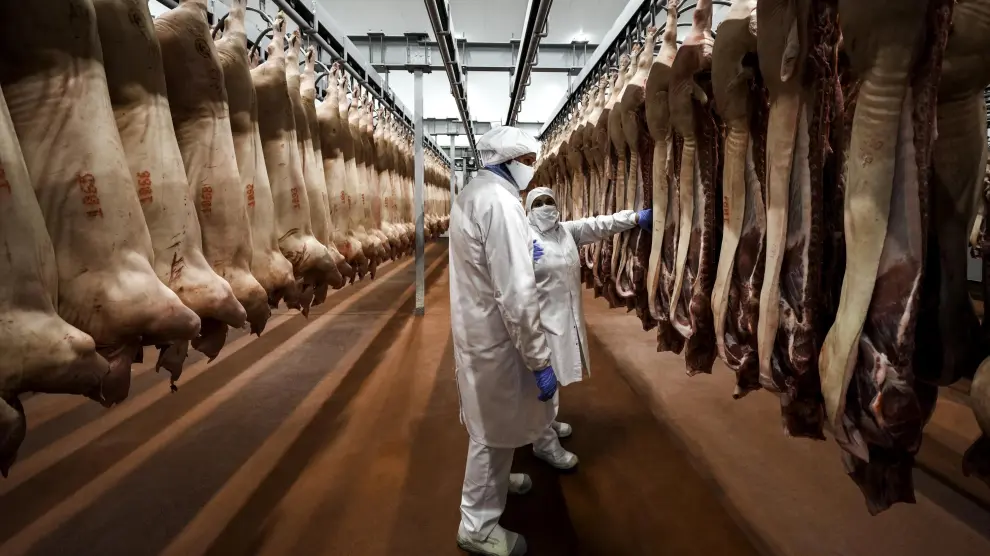 Sigma Kreas avanza en innovación con su participación en DIGIT4PORK